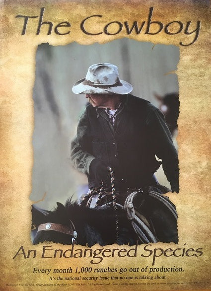 The Cowboy Poster